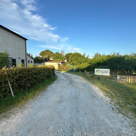 Il Casale Toscano: Pisa Tower Proximity with Self Check-In Exterior photo